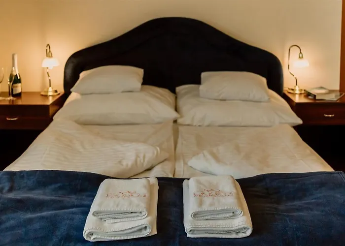 ゲストハウス Korona And Restaurant ヘーヴィーズ